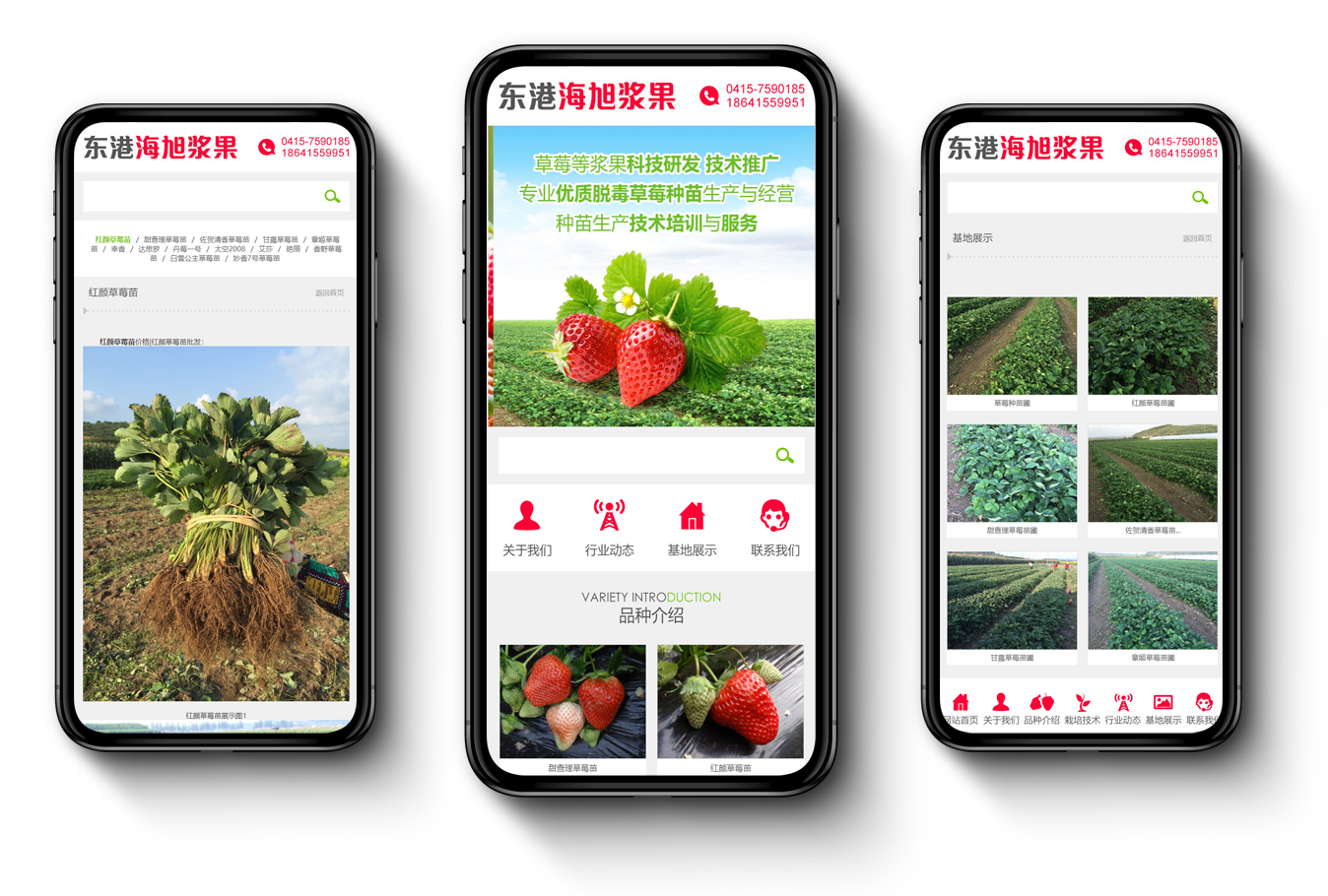 海旭5.jpg 海旭5.jpg